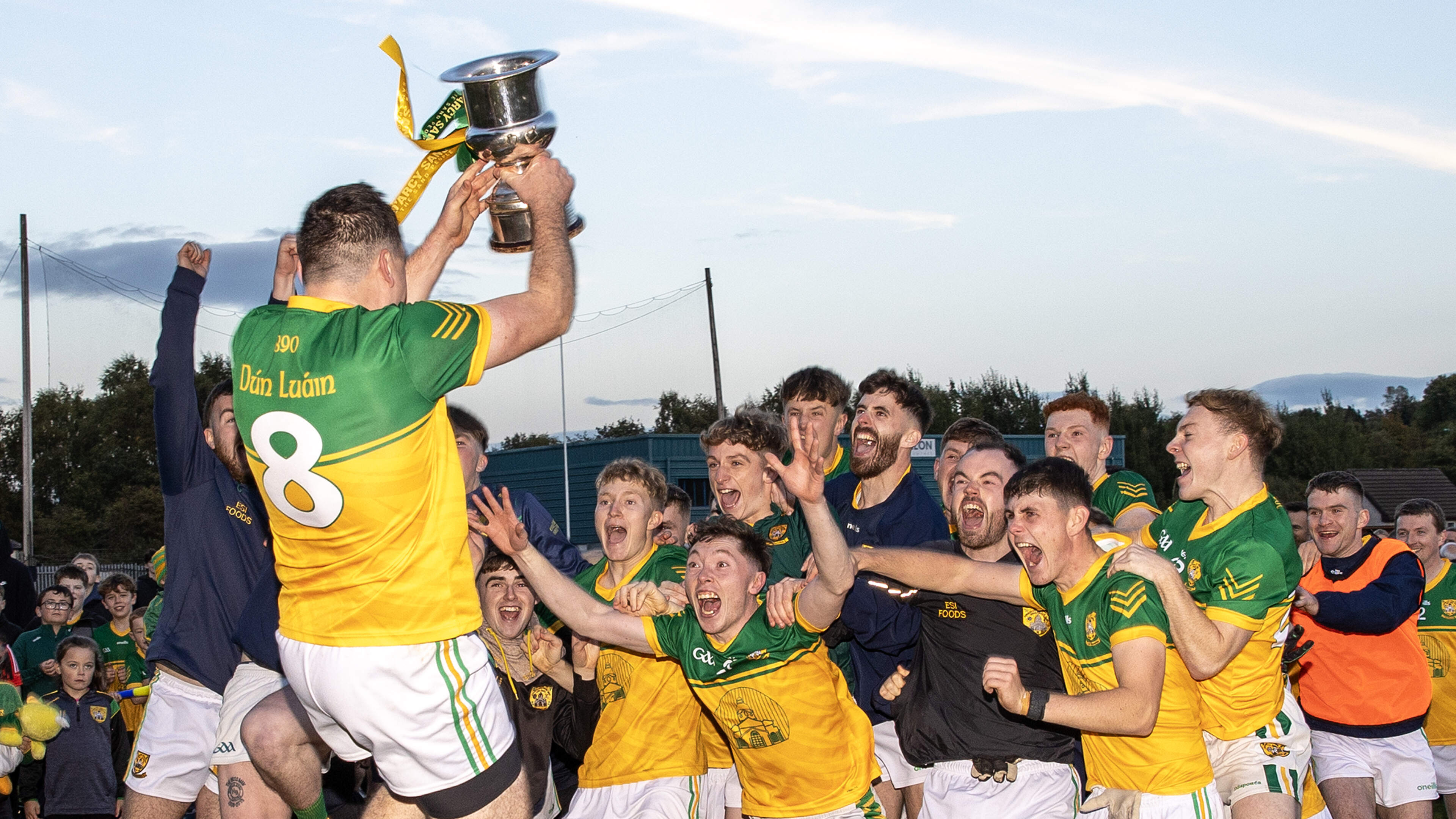 Dunlavin storm to convincing final victory over Laragh to seal senior return
